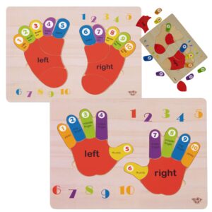 TOOKY TOY Harivad puidust pusled Käed ja jalad loendamise ja värvide õppimiseks
