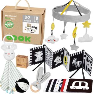 WOOPIE GREEN Box XXL Montessori Educational 7in1 Sensory Box 0-2 kuud 18 tk. FSC