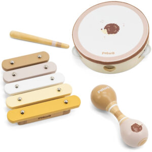 VIGA POLARB MUUSIKAINSTRUMENTIDE KOMPLEKT